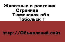  Животные и растения - Страница 11 . Тюменская обл.,Тобольск г.